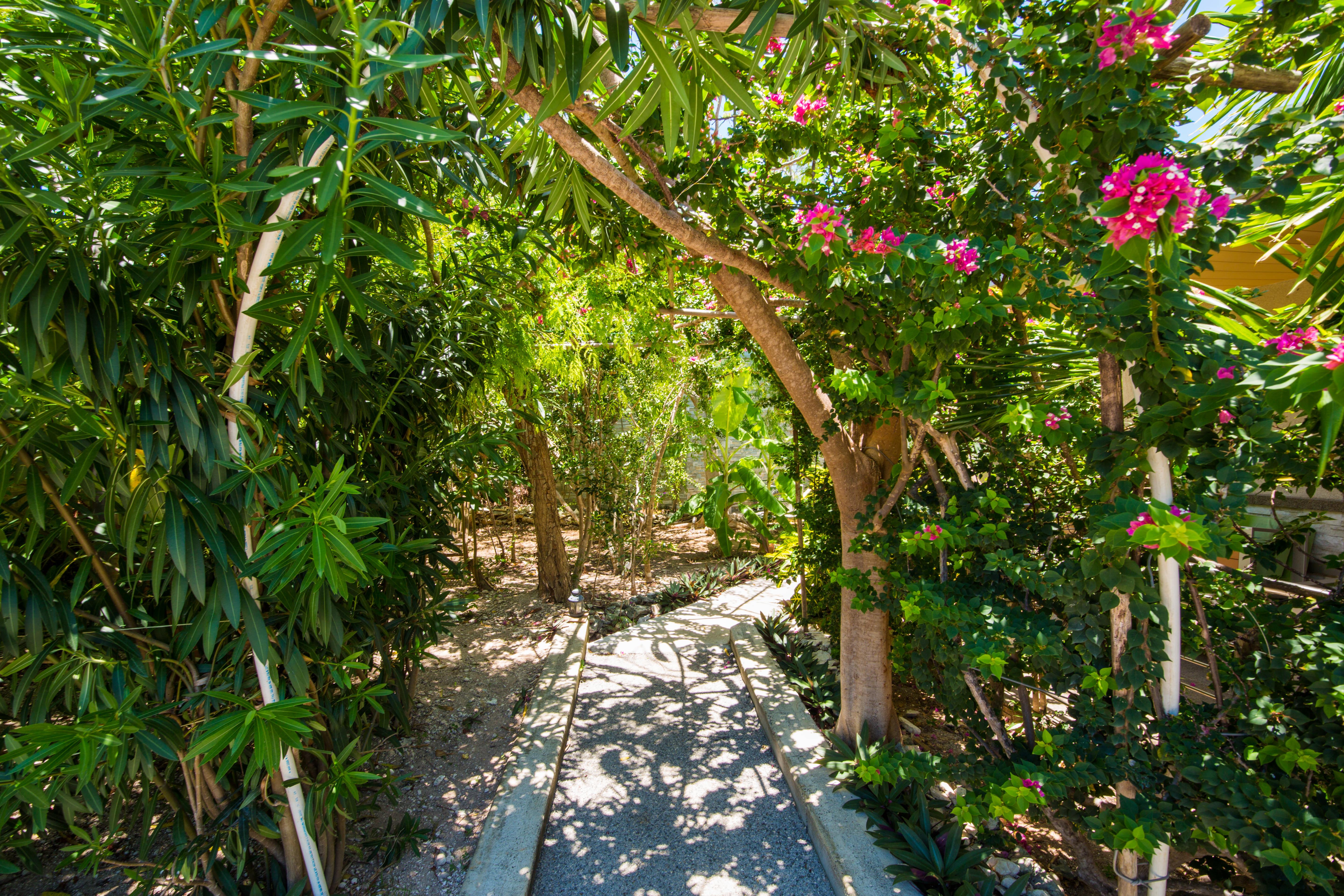 One On Marlin Resort (Adults Only) Turtle Cove Екстериор снимка