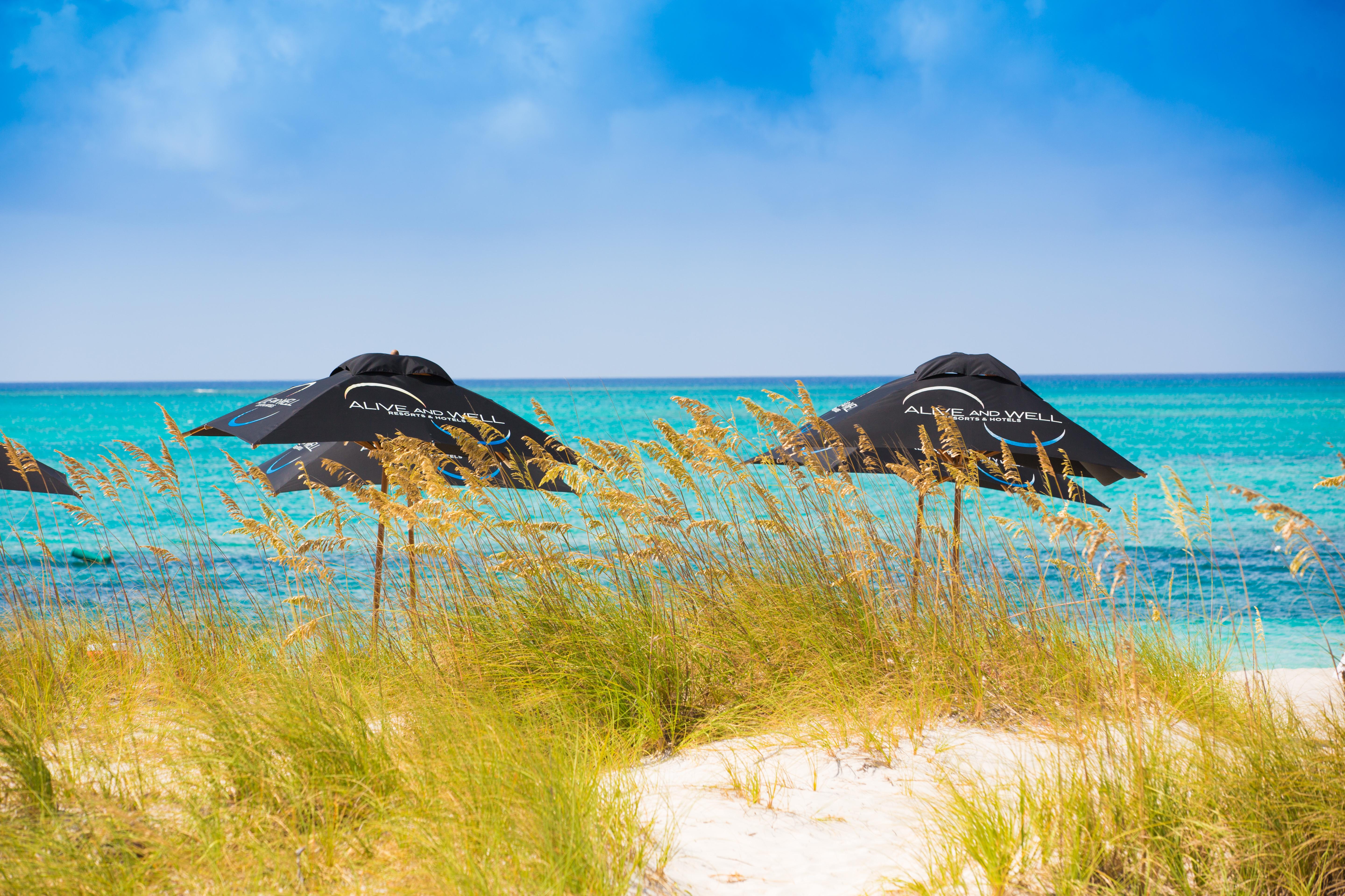 One On Marlin Resort (Adults Only) Turtle Cove Екстериор снимка